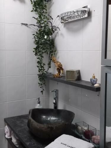 Hostal Les Bigorneaux