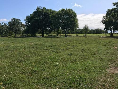 Hostal Domaine de Badine, Bordeaux Centre 15mn