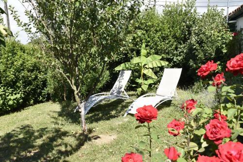Maison Dans Le Vignoble de Bordeaux-blaye-bourg-cnpe