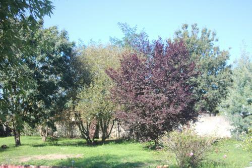 Apartamentos L Entredeux