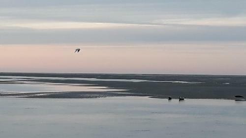 Apartamento Vue Exceptionnelle Sur La Baie de Somme