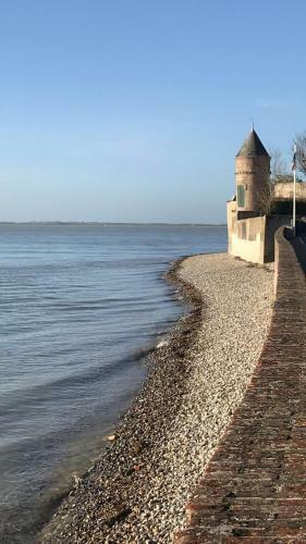 Au 10 Quai Violette