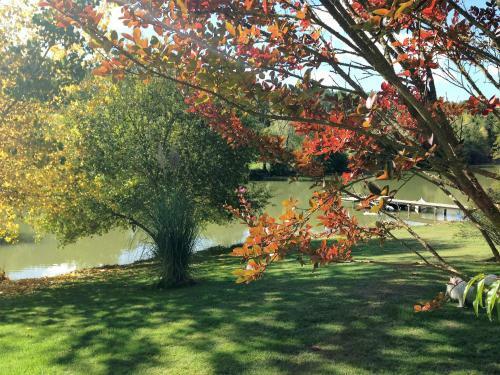 Lacabane Lodge Nature