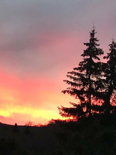 Bed & Breakfast Aux Portes D'aubrac Studio 2 Personnes