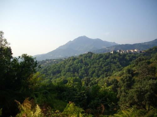 Apartamento Sole E Ventu (70 Qm)