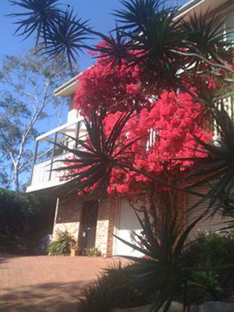 Bed & Breakfast Linley House