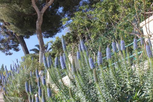 Apartamento Stellahome - L'enclos