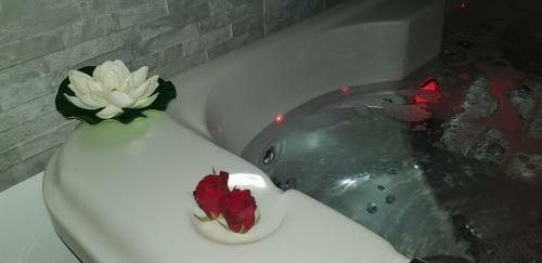 Bed & Breakfast � Zen Suite