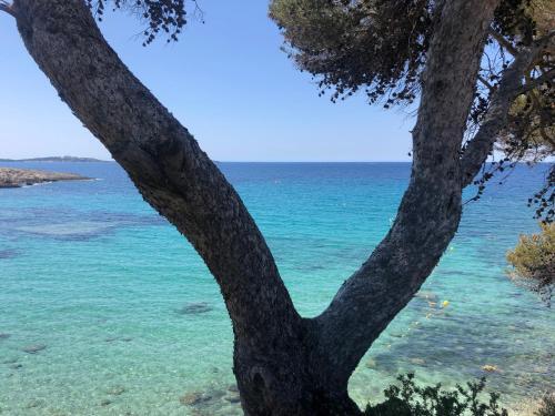 Apartamento L'ete Indien 2