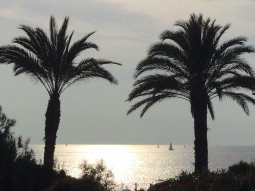 Apartamento Sanarybeach