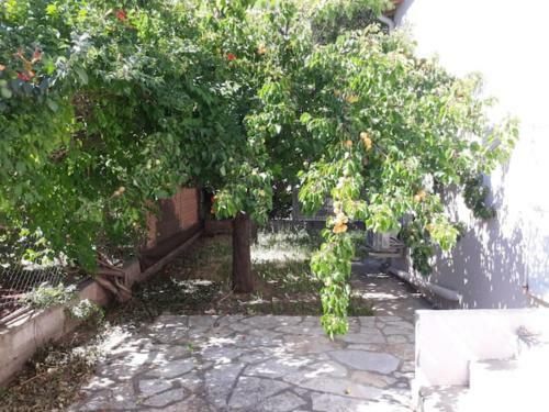 Apartamento Le Galli En Plein C?ur de Sanary