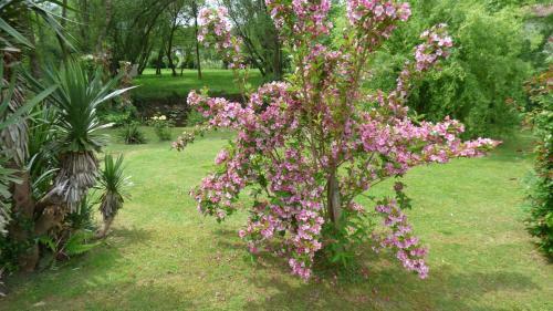 Bed & Breakfast Maison D'h�tes de Charme Ttakoinenborda