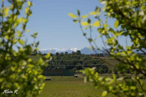 Paradise Challets And Camping