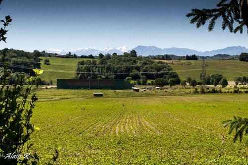 Paradise Challets And Camping