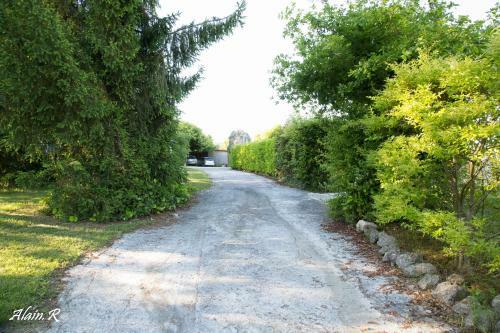 Paradise Challets And Camping