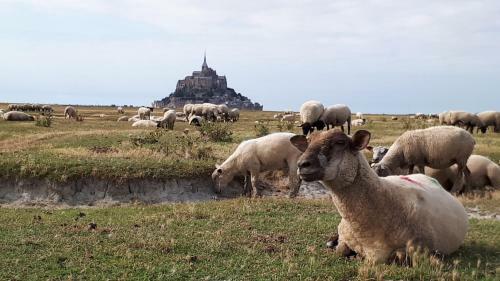 Le Marite