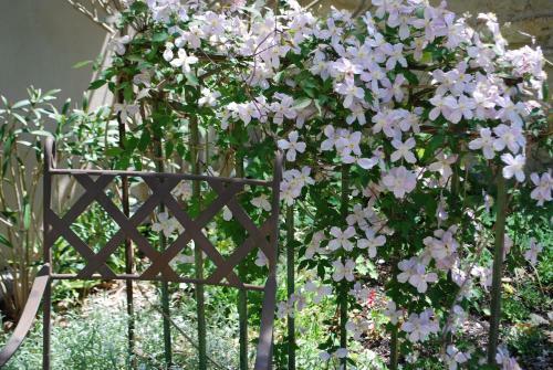 Hostal Sous Les Canniers