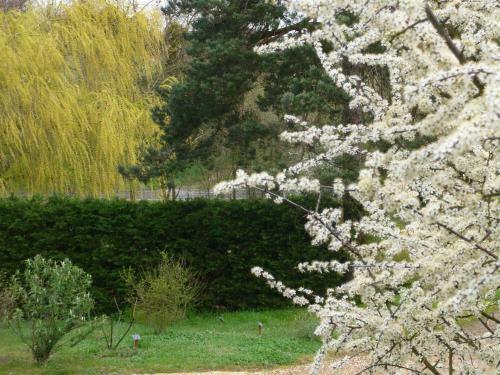 Bed & Breakfast G�te Les Jardins de Terrefort