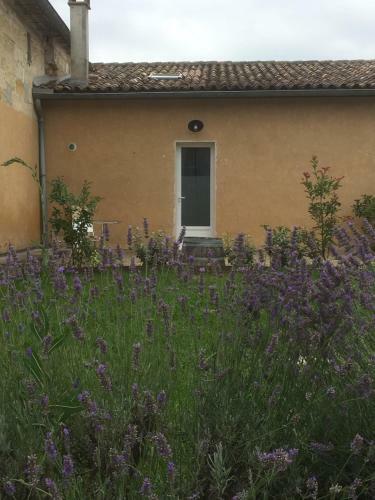 Gite Brandet