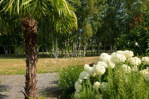 Bed & Breakfast Au Fil Du Viz�zy - Chambre D'h�tes