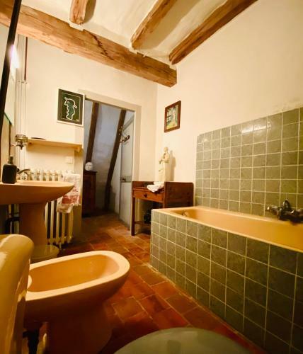 Villa Manoir Du Plessis -vall�e de La Loire-tours