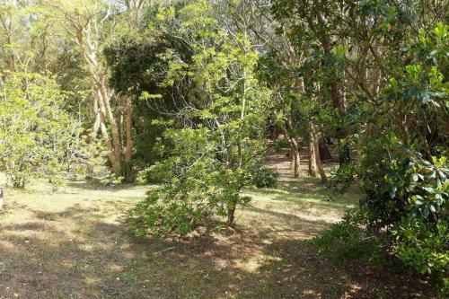 Apartamentos Appt Seignosse Le Penon - Plages Commerces � Pied