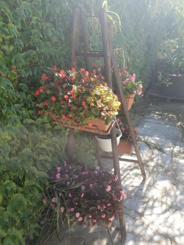 Villa Mas Proven�al � Proximit� Du Pont Du Gard