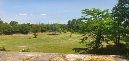 Villa Mas Proven�al � Proximit� Du Pont Du Gard