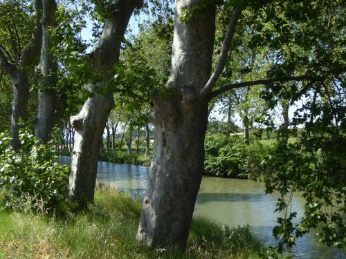 Apartamento T2 � S�rignan H�rault