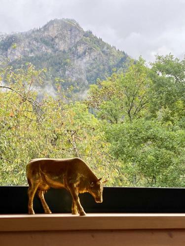 Chalet Nature Et Design
