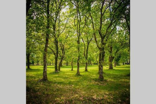 Villa Domaine de Bouh�my - Ferme Napol�onienne