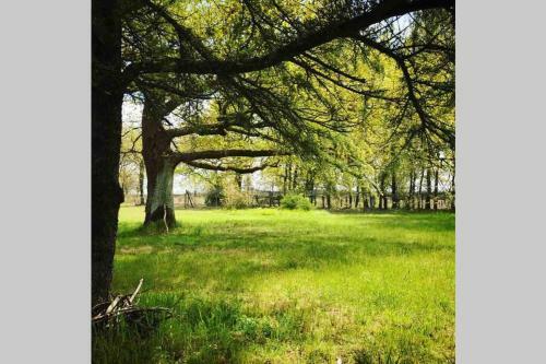 Villa Domaine de Bouh�my - Ferme Napol�onienne