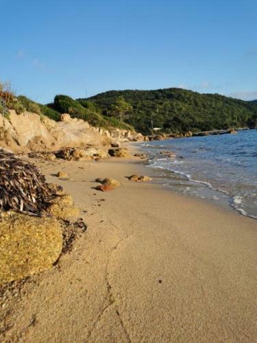 Villa Boost Your Immo Corse Sari Solenzara 350
