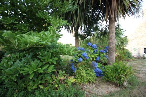 Les G�tes D'etaville