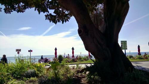 Domaine Du Para�s B&B