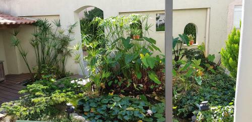 Le Patio