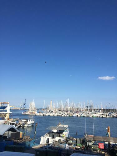 Apartamento Plages Et Coquillages 70m2 Vue Mer