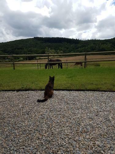 Domaine La Diligence