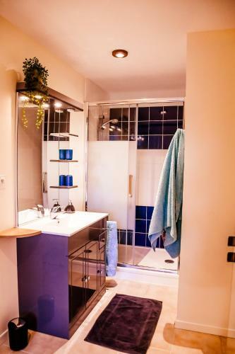 Apartamento Le Pic Vert