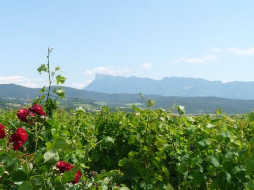 Bed & Breakfast La Bouillarde