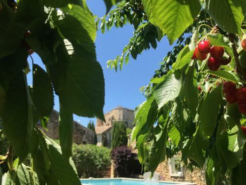 Bed & Breakfast Les Aigui�res En Provence