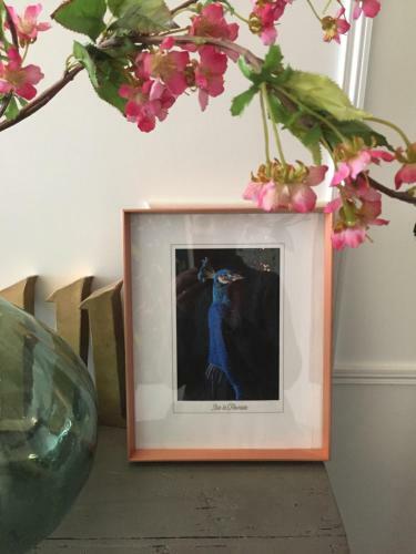 Apartamento Iris La Fleuriste