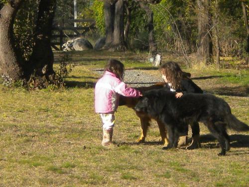 Lodge Domus-san Javier