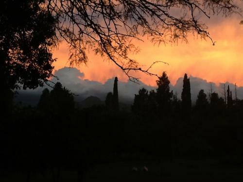 Lodge Domus-san Javier