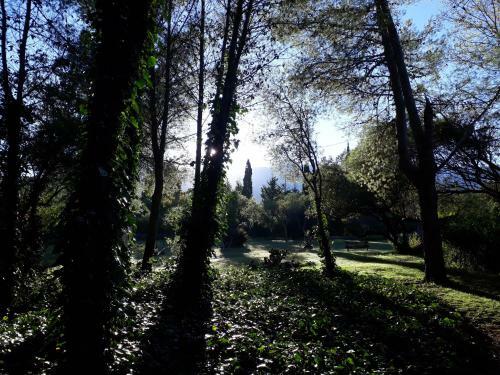 Lodge Domus-san Javier