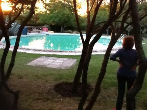 Lodge Domus-san Javier