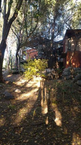 Lodge Domus-san Javier