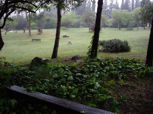 Lodge Domus-san Javier