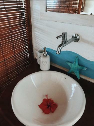 Hostal Eco-pousada Casa Bob�