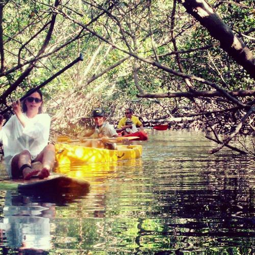 Hostal Eco-pousada Casa Bob�